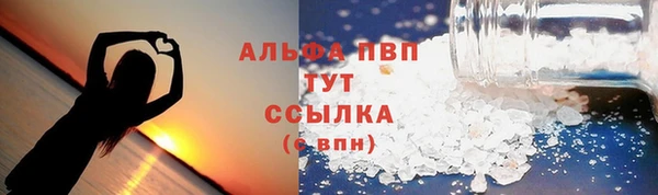 хмурый Белокуриха