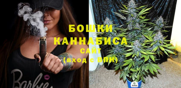 хмурый Белокуриха