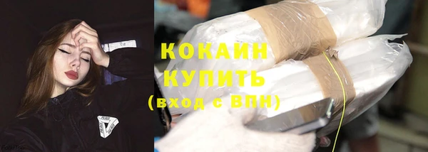 хмурый Белокуриха