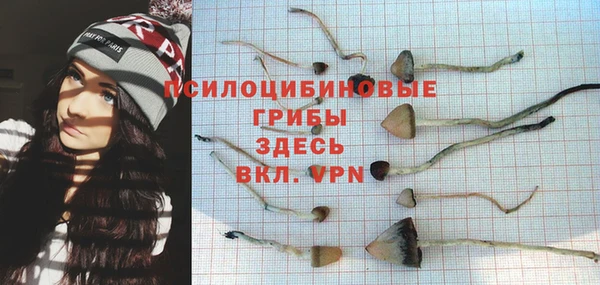 хмурый Белокуриха