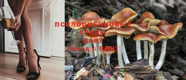 таблы Белоозёрский