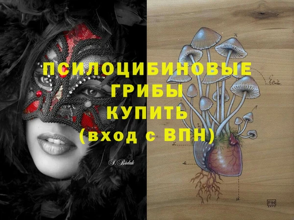 хмурый Белокуриха